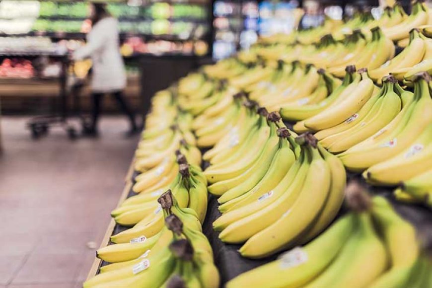 Bananes : hausse de 34,29% exportations équatoriennes vers l’Algérie