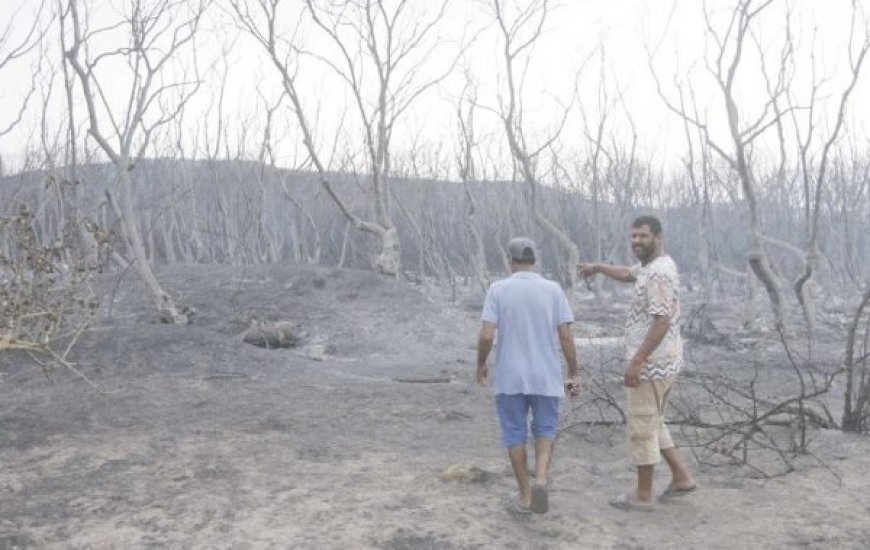 Agriculteurs victimes des incendies  : L’État casse sa tirelire 