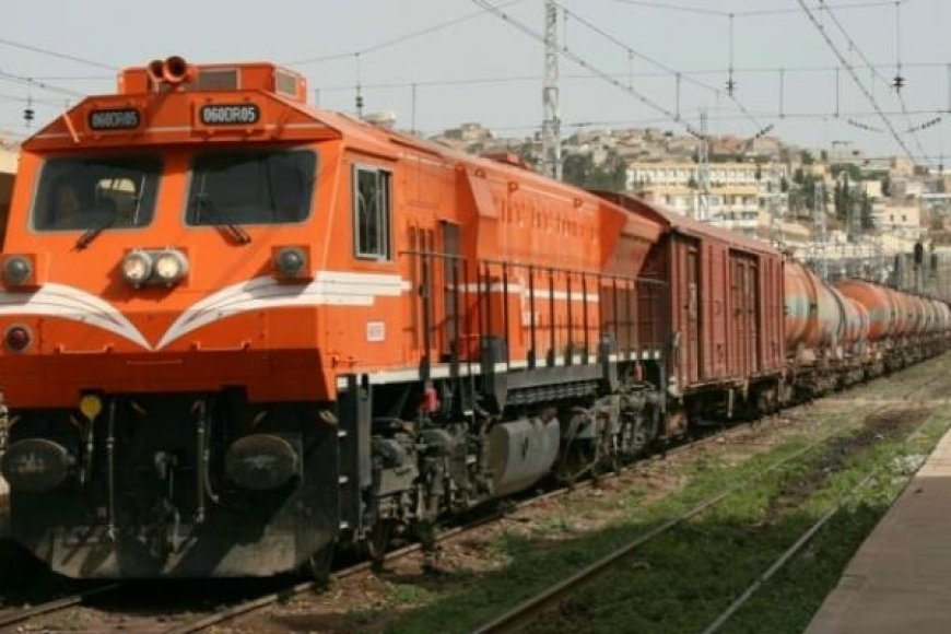 Blida / il décède après avoir été percuté par un train