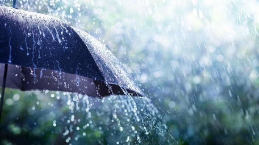 Alerte Météo : des pluies orageuses attendues cet après-midi sur 7 wilayas