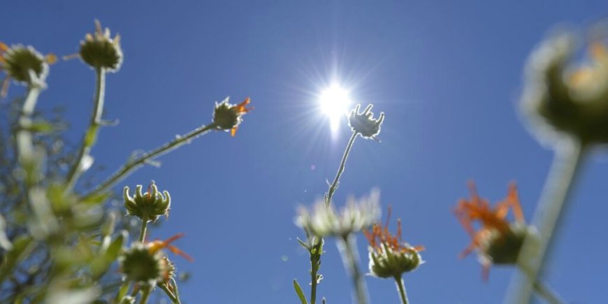 Prévisions météo pour le lundi 2 septembre : quel temps fera-t-il aujourd’hui en Algérie ?