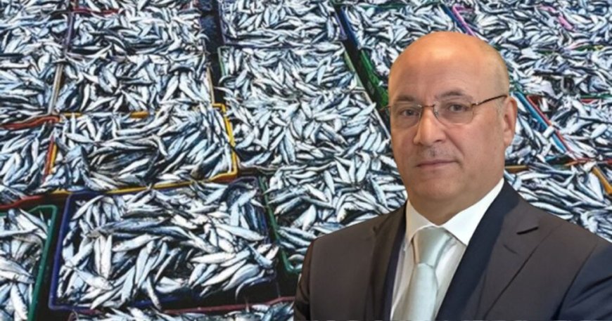 Chute spectaculaire du prix de la sardine (300 DA/kg) : Le coup de maître de Zitouni