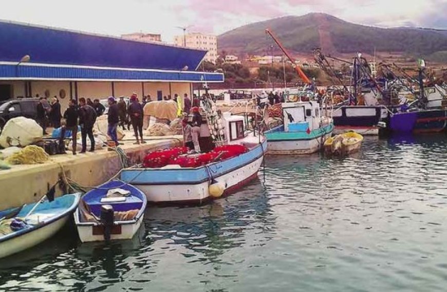 Chlef : Vers le dragage du port de pêche d’El Marsa