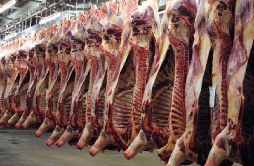 Tiaret : La viande brésilienne importée massivement