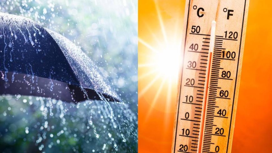 Entre pluies orageuses et canicule, quels sont les caprices de la météo pour ce 7 septembre ?