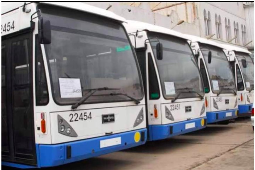 Présidentielles et transports publics à Annaba : Bus gratuits et urnes à la portée de tous