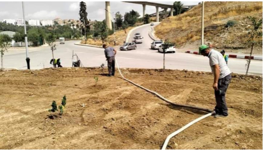 Entretien des espaces verts à Constantine : Vaste opération d’embellissement