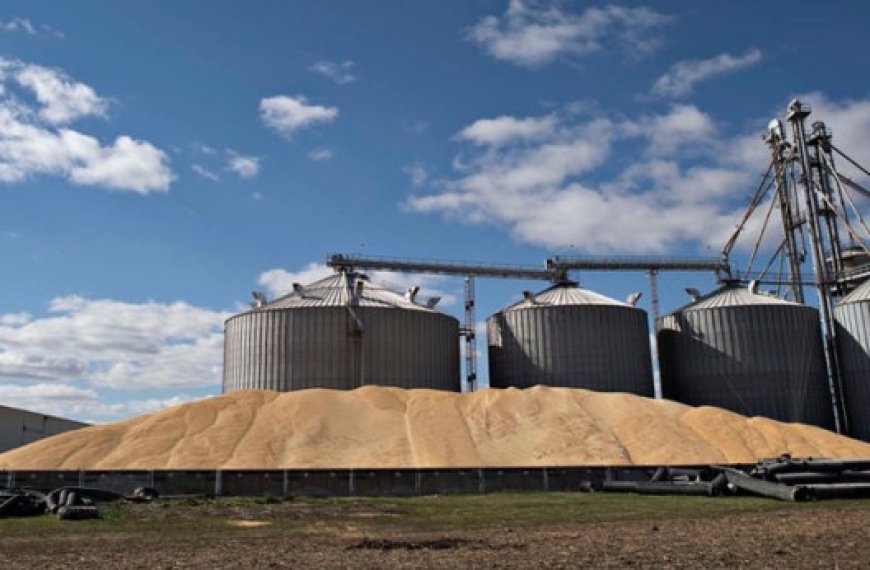 Timimoun : Projets de réalisation de centres  de stockage de céréales