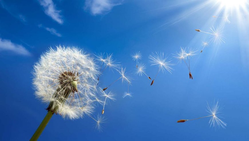 Le temps en Algérie ce 15 septembre : ciel ensoleillé ou voilé, quelle météo prévoir aujourd’hui ?