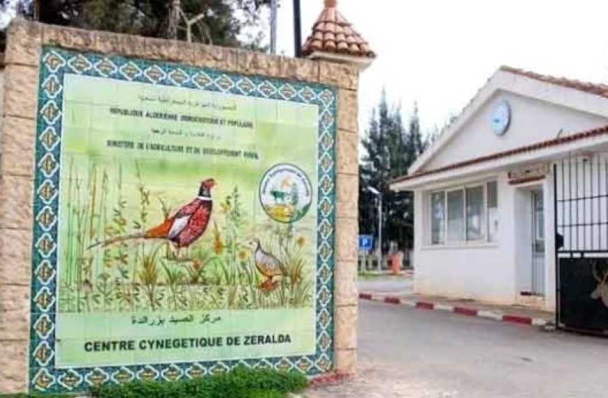 Centre cynégétique de Zéralda : Reproduction de plus de 6000 perdrix gambra