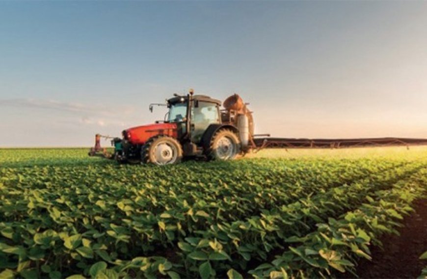 Agriculture à Mascara : Pompage de 6 millions de mètres cubes d’eau d’irrigation