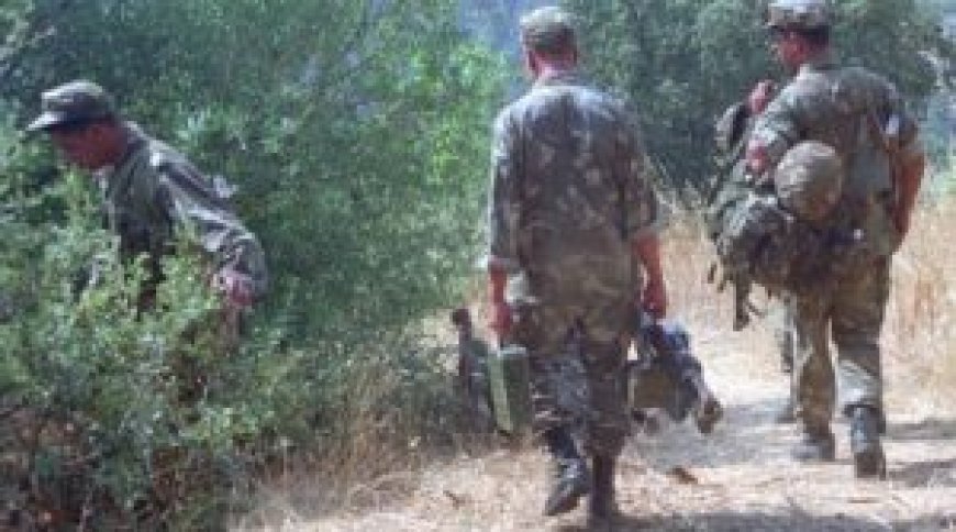 Tébessa : deux terroristes abattus par l’ANP dans la 5e Région militaire