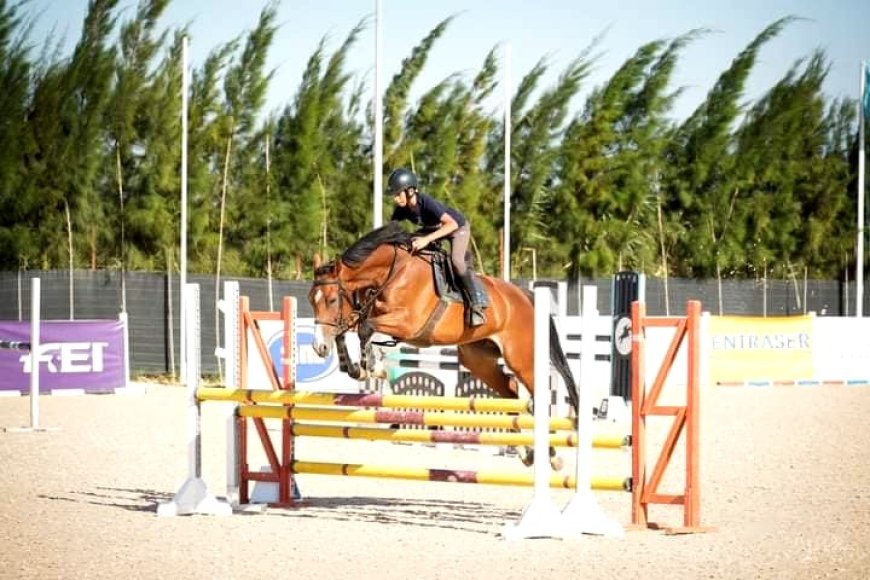 Une vingtaine de cavaliers attendus samedi prochain à Tiaret