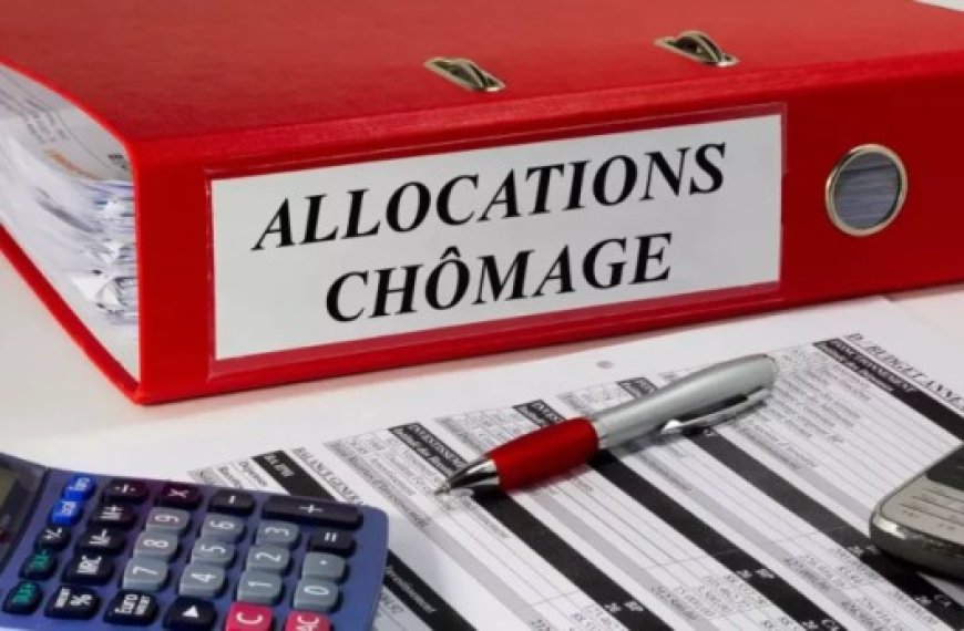 Allocation chômage à Batna : Lancement d’une plateforme pour les bénéficiaires