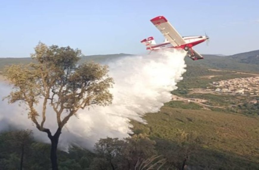 Tipasa : Extinction d’un incendie de forêt à Sidi Semiane