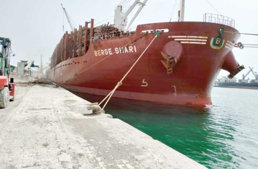 Le navire Berge Shari immobilisé depuis trois mois au port de Annaba : Déjà plus de 1,2 million  de dollars de surestaries