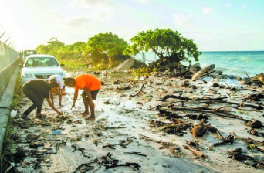 Partir ou garder espoir ? : Les îles du Pacifique face  à la montée des eaux