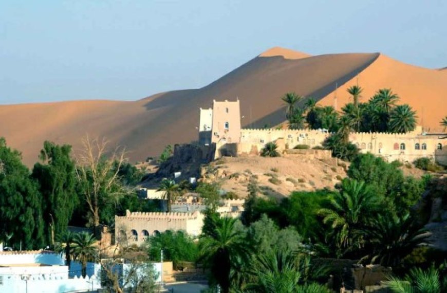 Tourisme saharien : L’ONAT lance une campagne de promotion de la destination Saoura