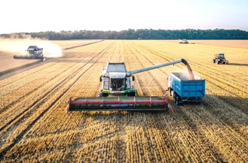 La demande mondiale en céréales augmente : Le prix du blé russe au plus haut depuis juin