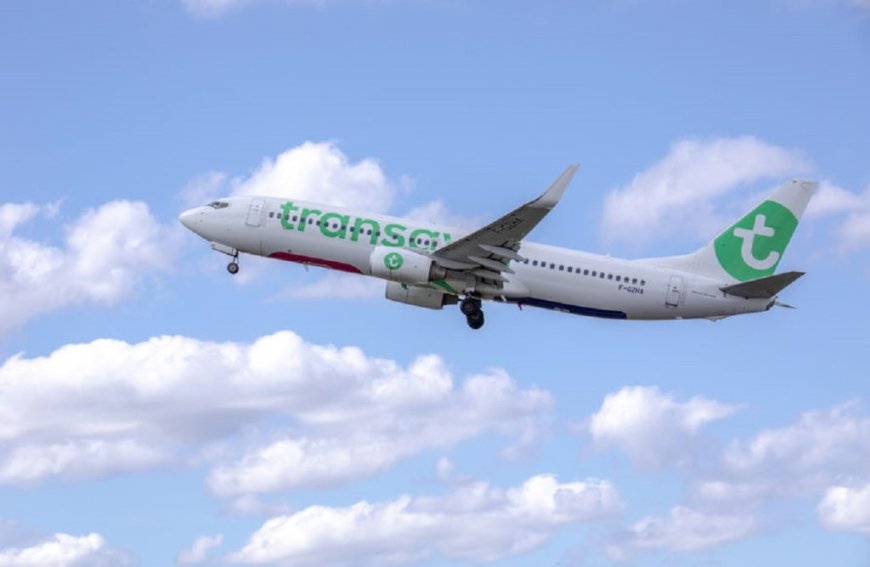 Vols low-cost vers Alger : Transavia lance les ventes pour l’été 2025