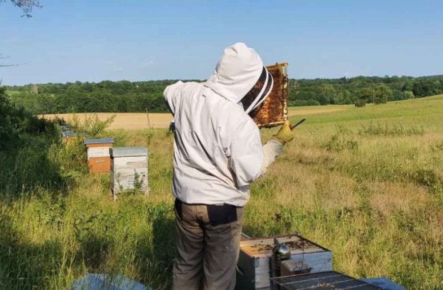 Bouira : L’agriculture de montagne, entre potentiel et réalités éprouvantes