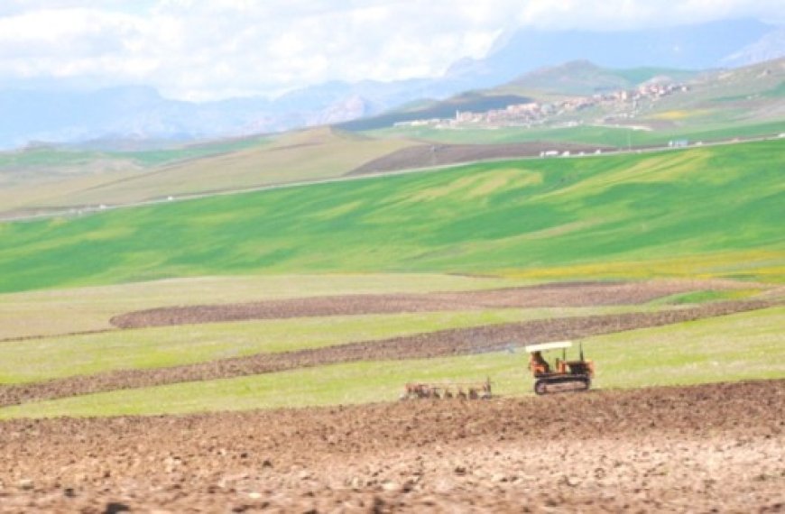 Mise en valeur des terres agricoles à Guelma : Les parcelles inexploitées seront récupérées par l’Etat