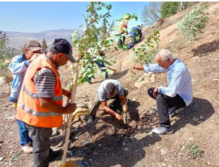 Embellissement urbain à Constantine : La ville se vêtit de verdure