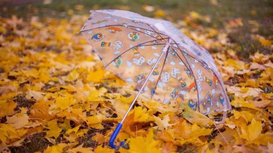 Prévisions météo du mercredi 16 octobre : entre pluie et canicule, quel temps prévoir aujourd’hui ?