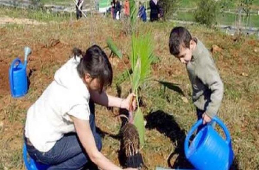 Un programme de plantation de 144 000 arbustes