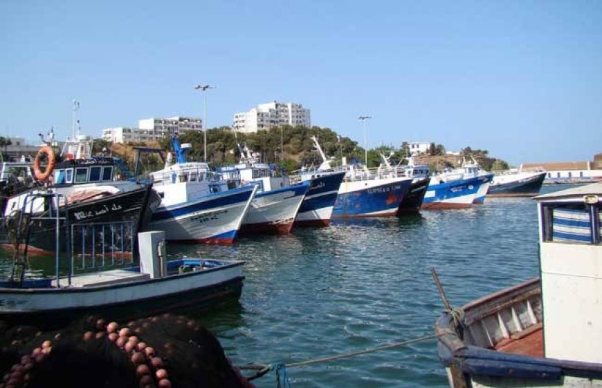 L’Algérie veut faire de la pêche un moteur économique