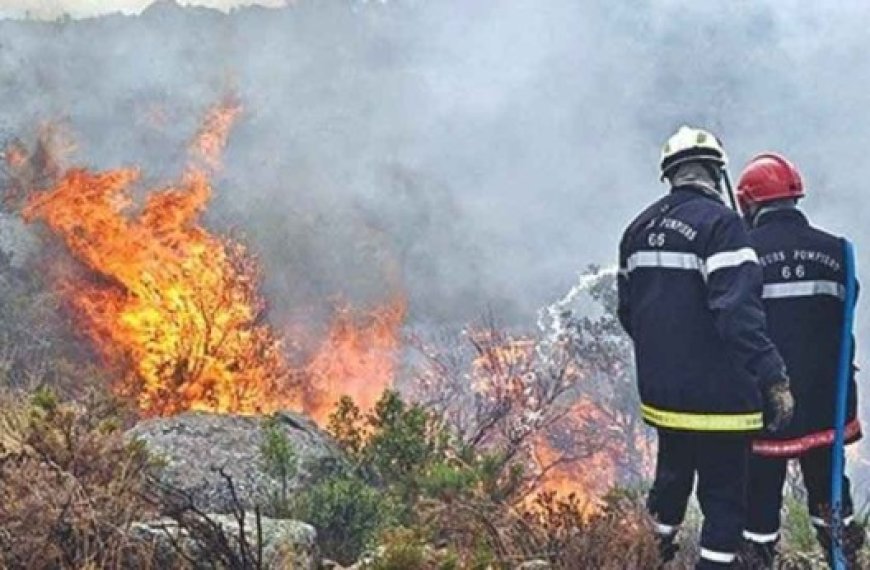 Boumerdès : Vague d'incendies en plein automne !