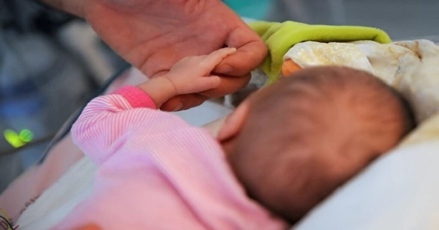 Hausse inquiétante de l’infertilité en Algérie : les médecins tirent la sonnette d’alarme