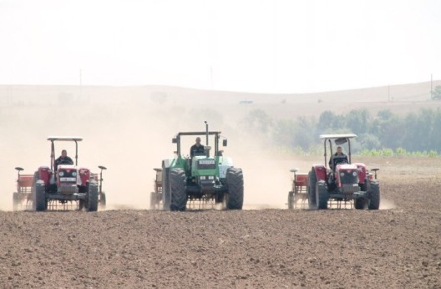 Campagne labours semailles : Plus de 91 500 hectares à emblaver