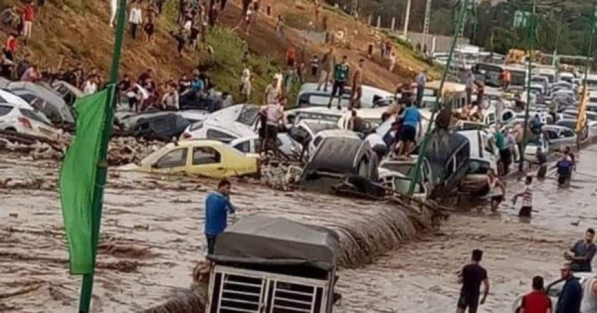 Inondations : 66 communes de sept wilayas déclarées sinistrées