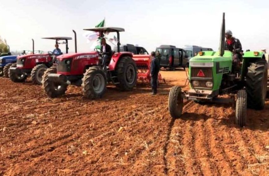 Campagne labour-semailles à Médéa : 130 000 hectares à emblaver pour la présente