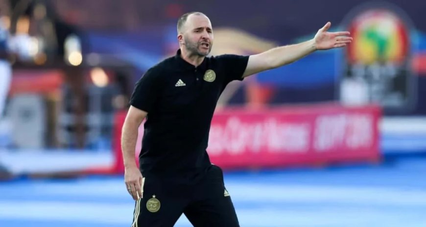 Que devient Belmadi ? Ouaddou donne de ses nouvelles