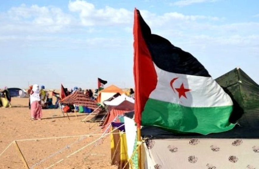 Energies propres/ De nouvelles capacités en territoire occupé : Le plan de spoliation marocain se poursuit