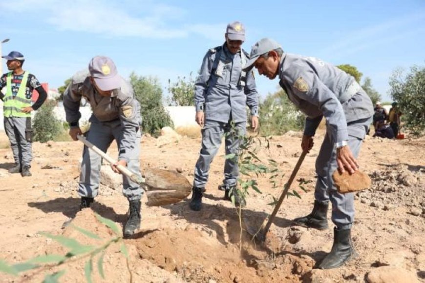 Environnement: Plus de 700 arbres de différentes espèces plantés à Oran.