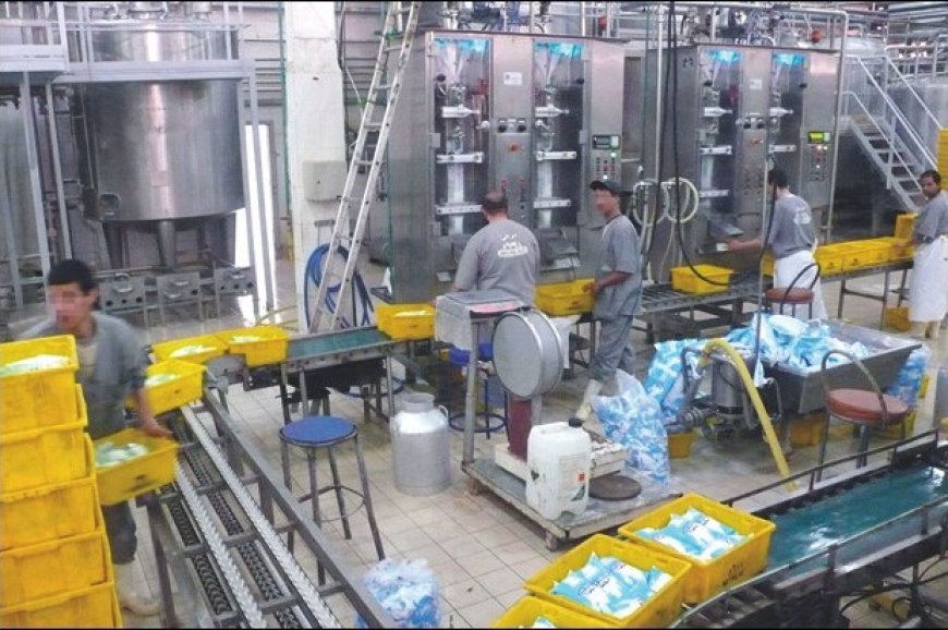 Trois usines pour augmenter la production de lait