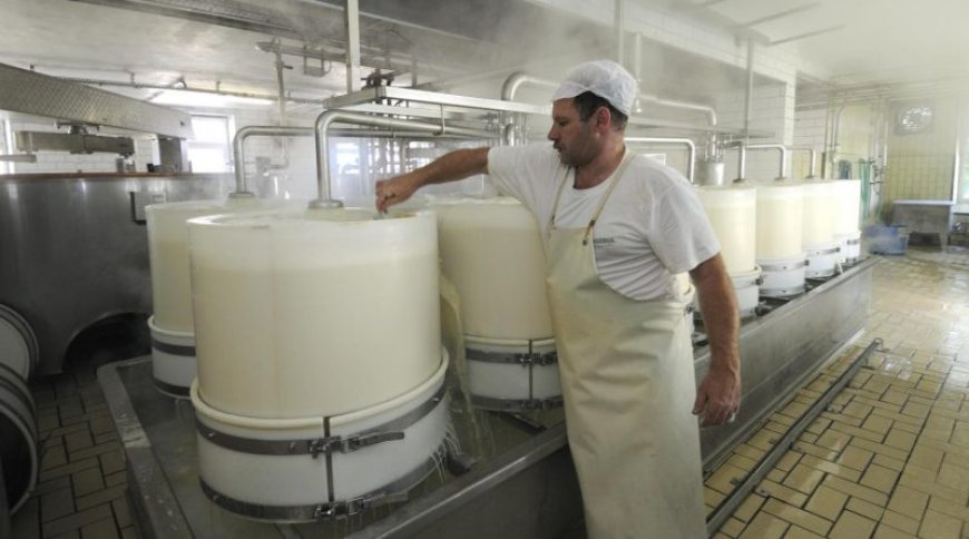 Augmentation de la production de lait : Trois nouvelles usines en vue