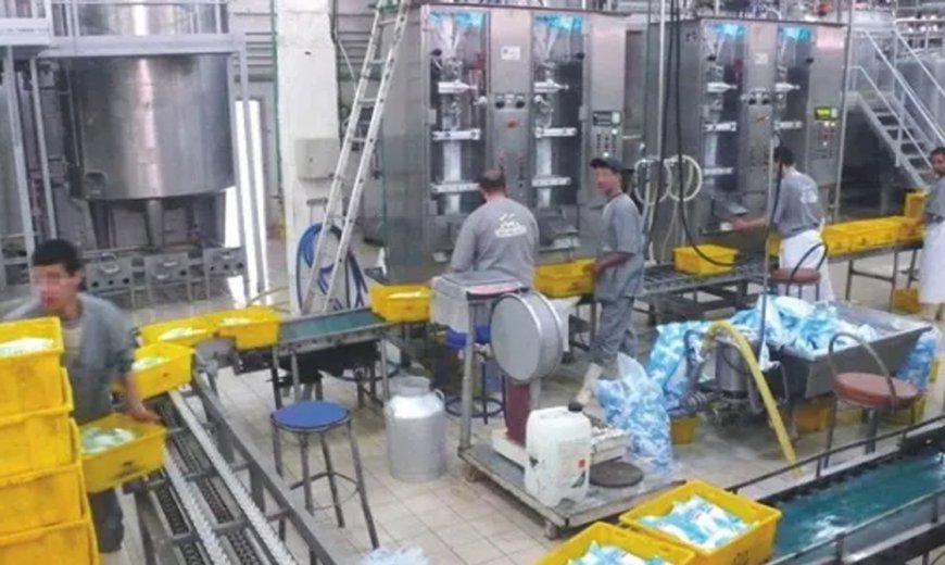 Alger/Rouiba: Mise en service en février de la nouvelle usine de production de lait