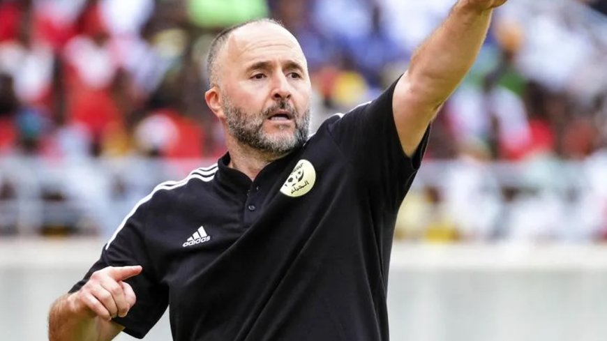 Verts : Un retour imminent de Djamel Belmadi ?