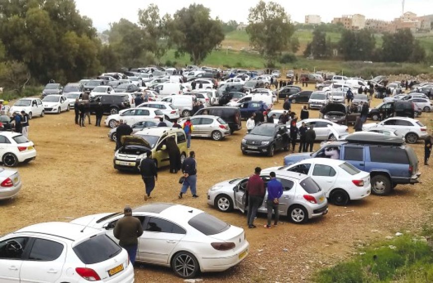 Marché des véhicules d’occasion de Tidjelabine (Boumerdès) : Le projet de son aménagement en étude