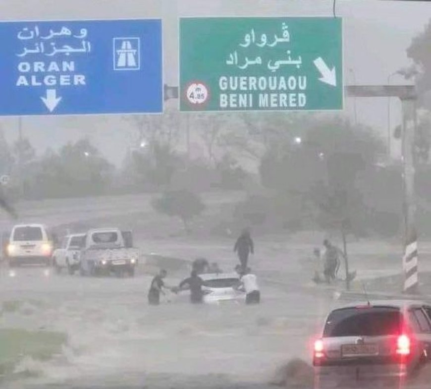 Pluies à Blida: Plusieurs localités inondées et routes fermées