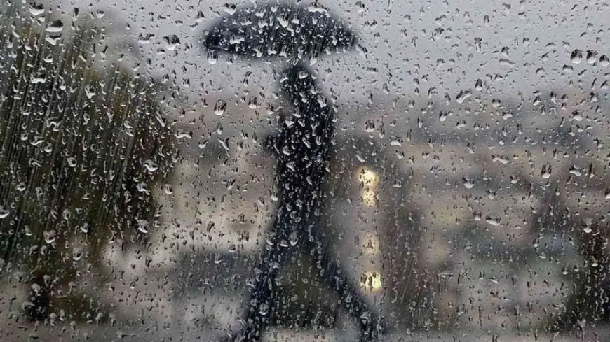 Des pluies orageuses sur plusieurs wilayas ce samedi