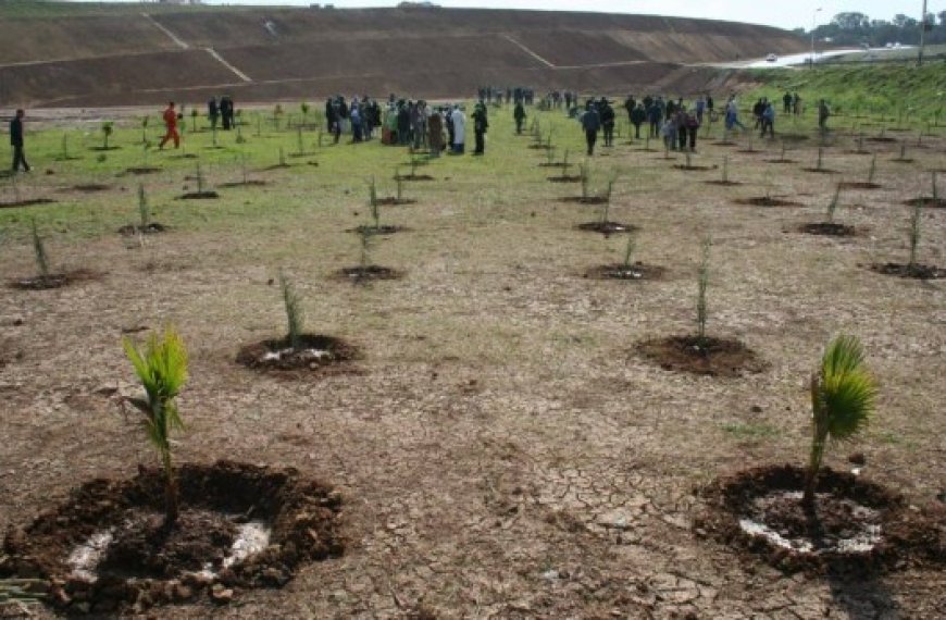 El Meghaïer : Lancement d'une campagne de plantation de 5000 arbustes