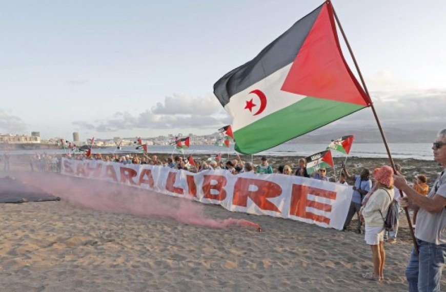 Sahara occidental : Un observatoire international dénonce l’expulsion de journalistes sahraouis