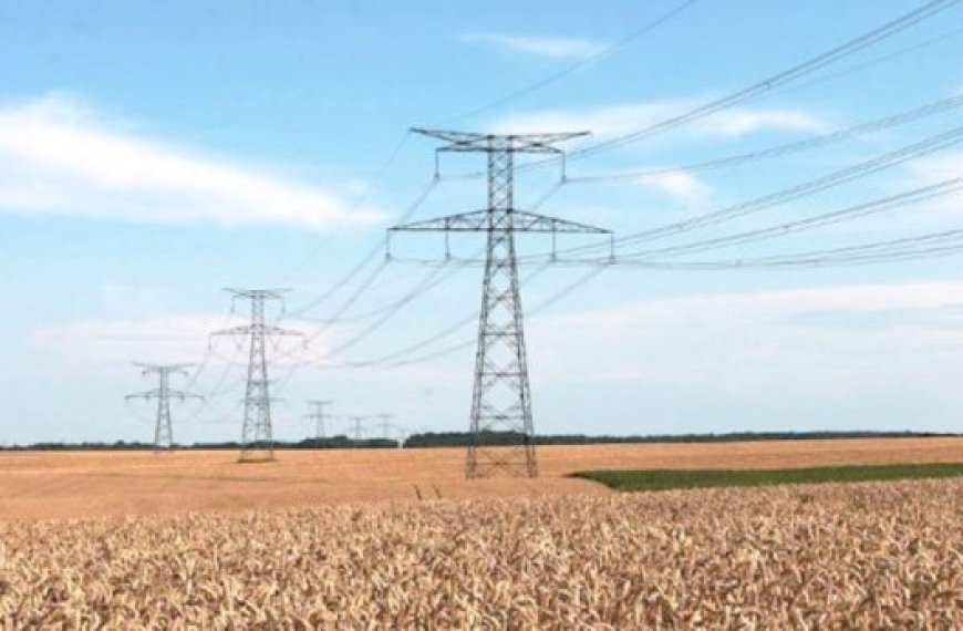 Touggourt : Près de 200 exploitations agricoles raccordées à l’électricité