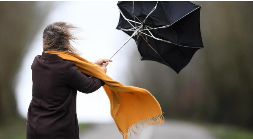 Météo : de fortes rafales de vent sur certaines wilayas