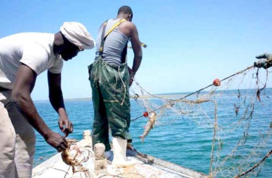 Pêcheurs algériens dans les eaux mauritaniennes : Négociations pour baisser les droits d’accès